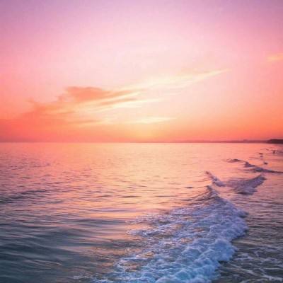 动物界跳水大赛