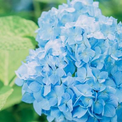 洛克人危险任务