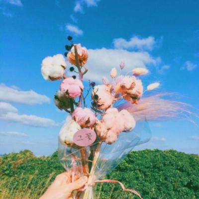 温州热线房产网